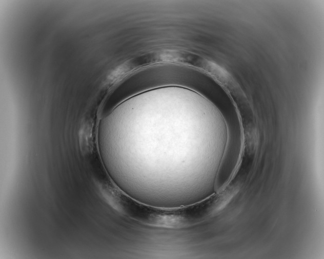 X0000087360360200704271441