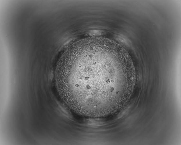 X0000087360367200704271441