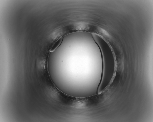 X0000087360368200704271441