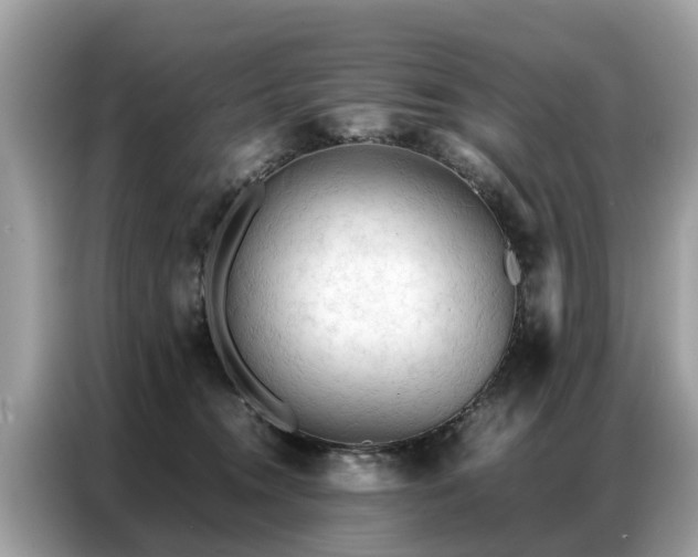 X0000087360372200704271441