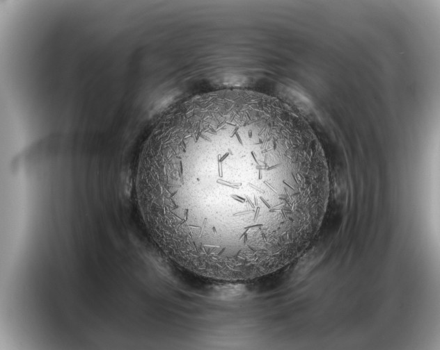 X0000087360374200704271441
