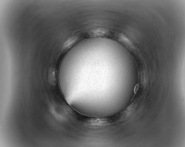 X0000087360378200704271441