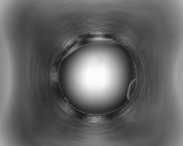 X0000087360384200704271441