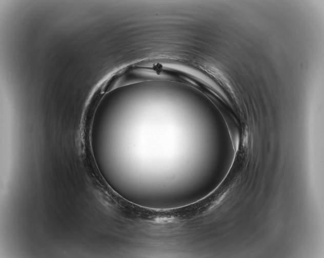 X0000087360388200704271441