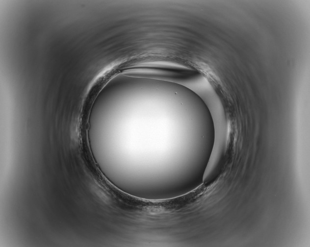 X0000087360392200704271441