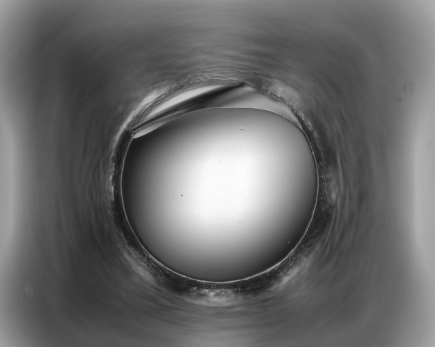 X0000087360395200704271441