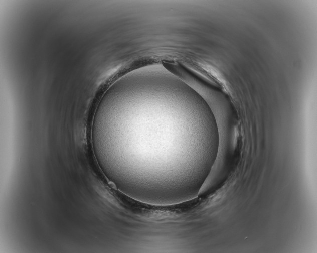 X0000087360399200704271441