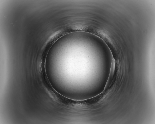 X0000087360400200704271441