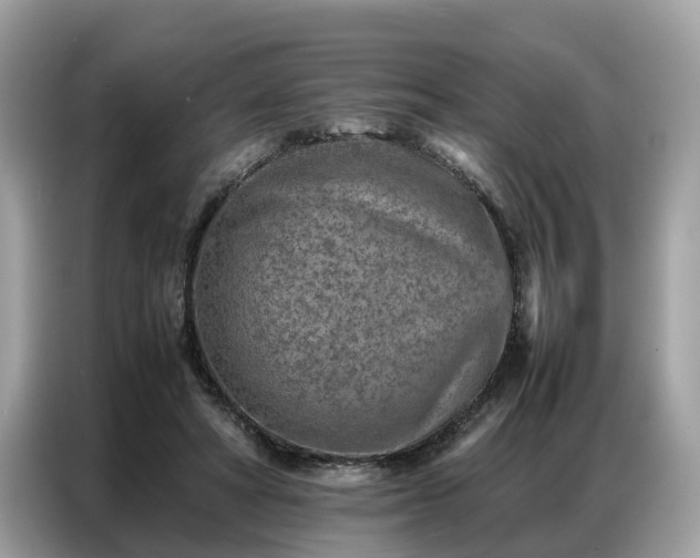 X0000087360402200704271441