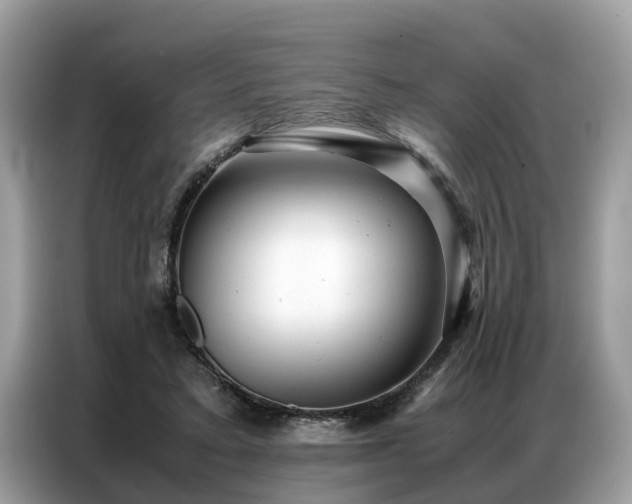 X0000087360403200704271441