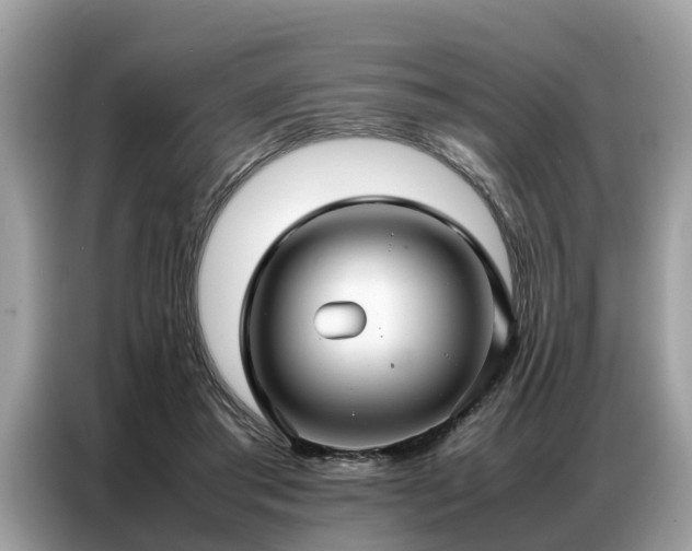 X0000087360405200704271441