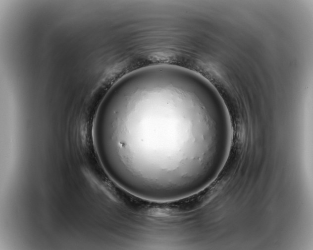 X0000087360408200704271441