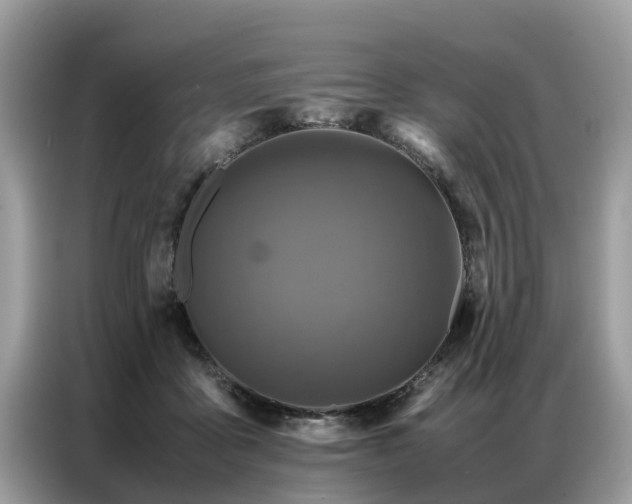 X0000087360411200704271441