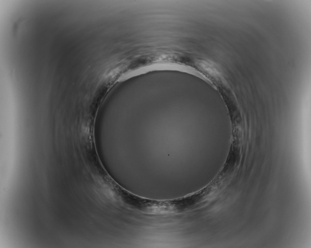 X0000087360415200704271441