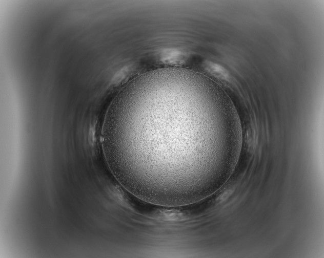 X0000087360424200704271440
