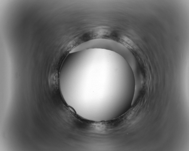X0000087360425200704271440