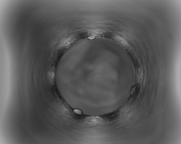 X0000087360427200704271440