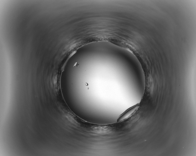 X0000087360428200704271440