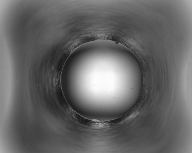X0000087360432200704271440