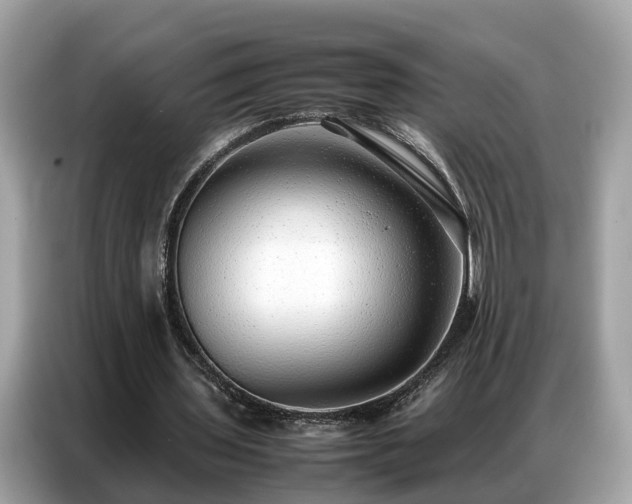 X0000087360435200704271440