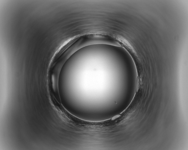 X0000087360436200704271440