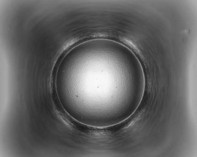 X0000087360439200704271440