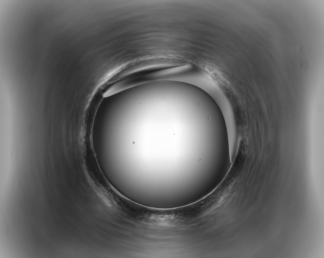 X0000087360440200704271440