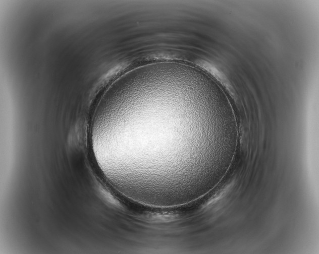 X0000087360445200704271440