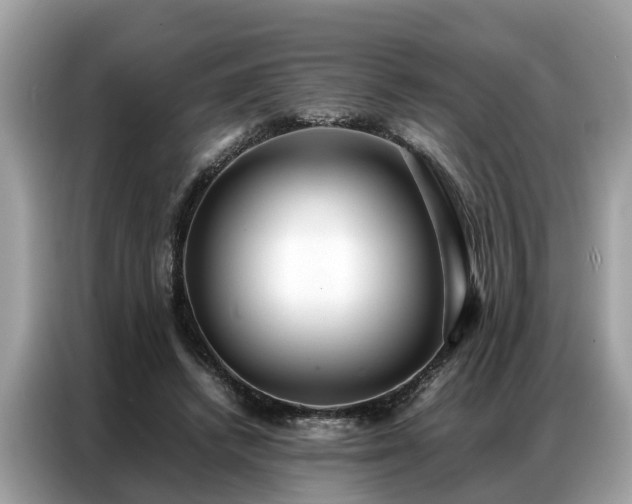 X0000087360448200704271440