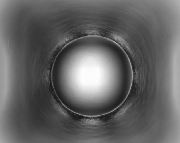 X0000087360449200704271440