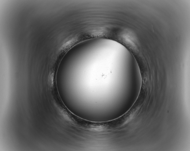 X0000087360454200704271440