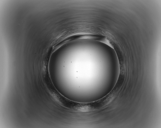 X0000087360456200704271440