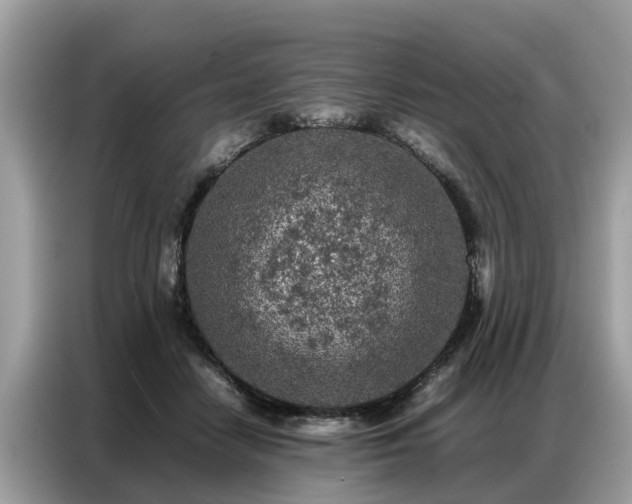 X0000087360458200704271440
