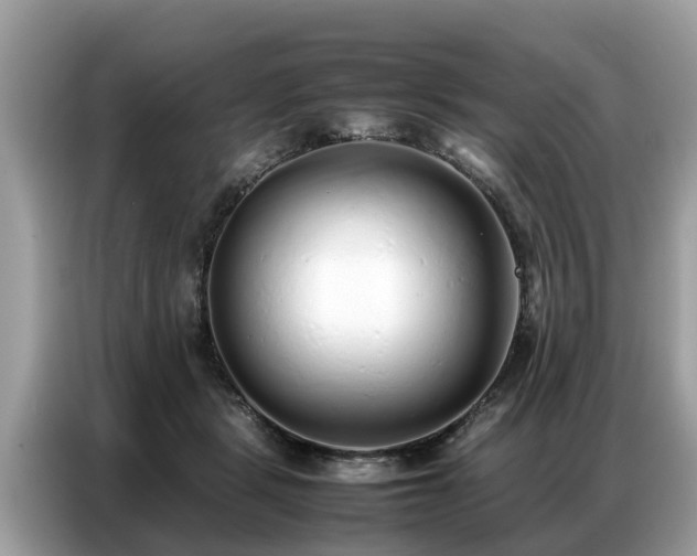 X0000087360461200704271440