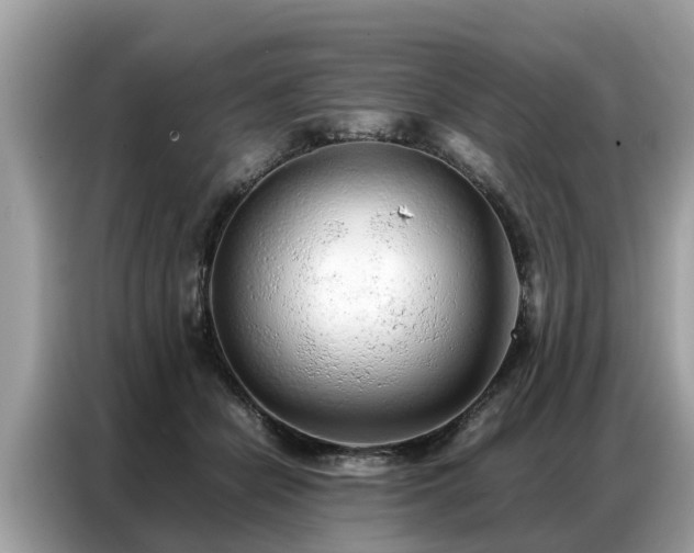 X0000087360462200704271440
