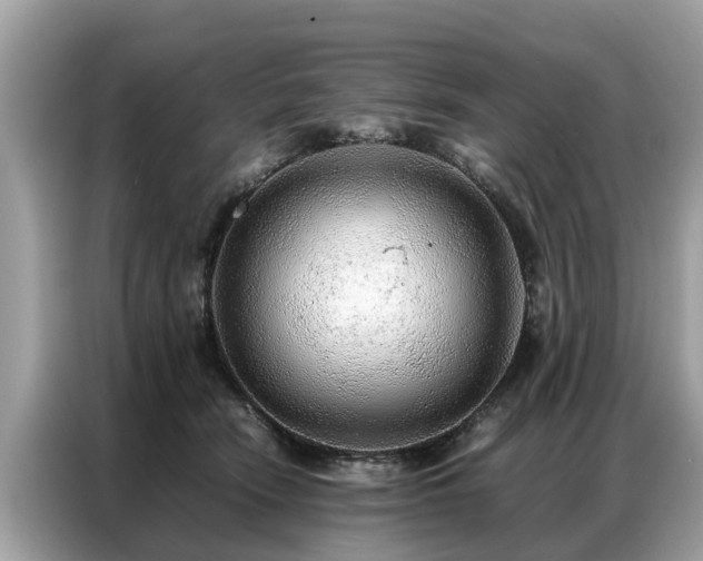 X0000087360466200704271440