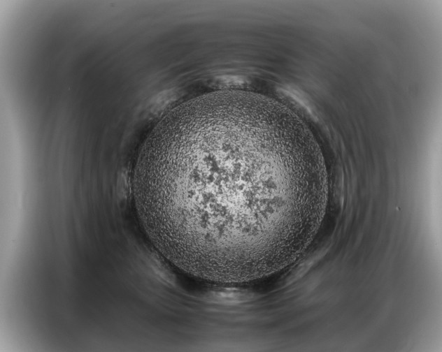 X0000087360467200704271440
