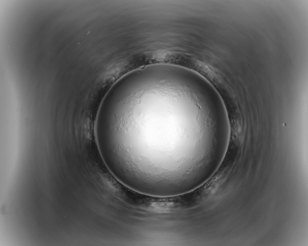 X0000087360470200704271440