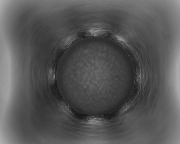 X0000087360471200704271440