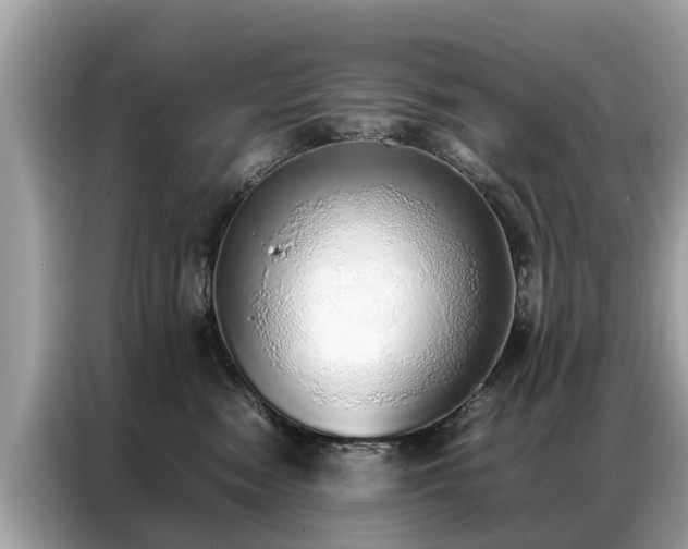 X0000087360474200704271440