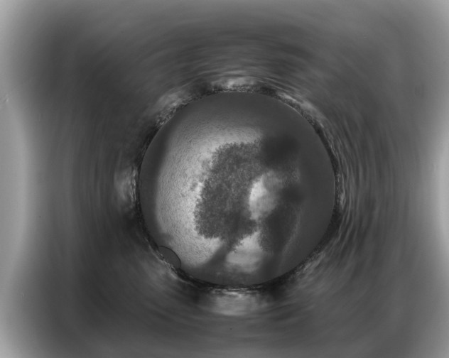 X0000087360475200704271440
