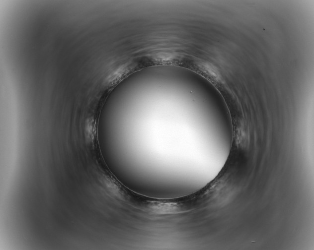 X0000087360476200704271440