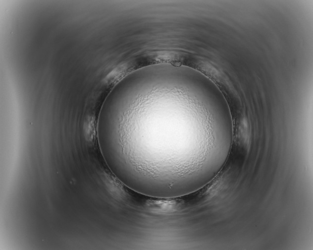X0000087360478200704271440