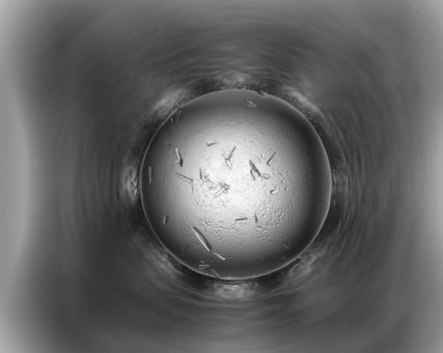 X0000087360479200704271440