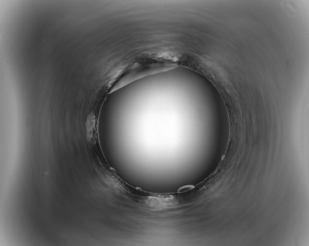 X0000087360480200704271440
