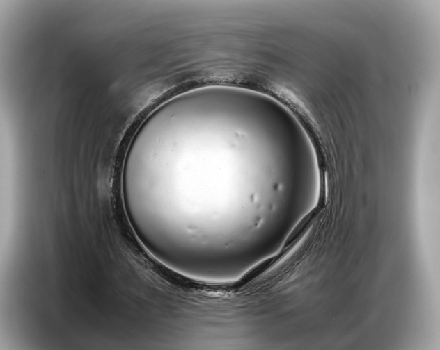 X0000087360483200704271440