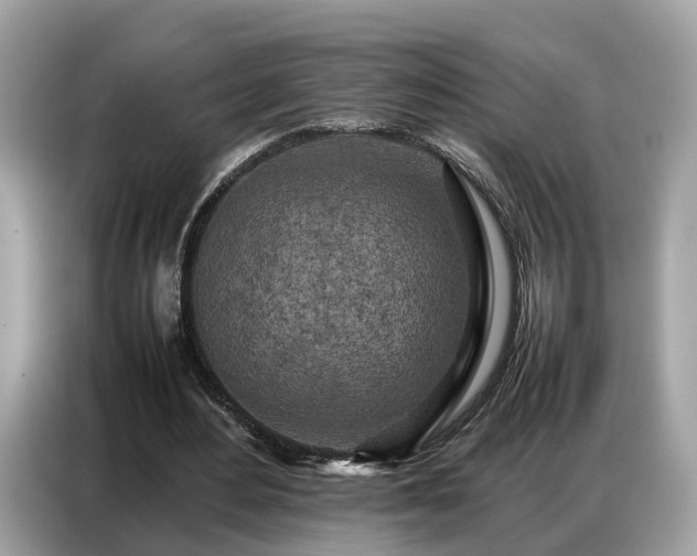 X0000087360484200704271440