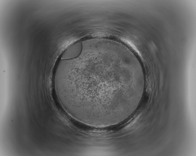 X0000087360487200704271440
