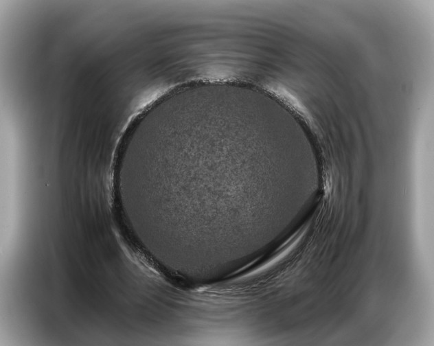 X0000087360488200704271440
