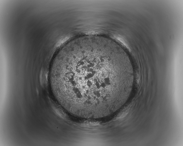 X0000087360491200704271440